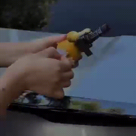 gif.gif